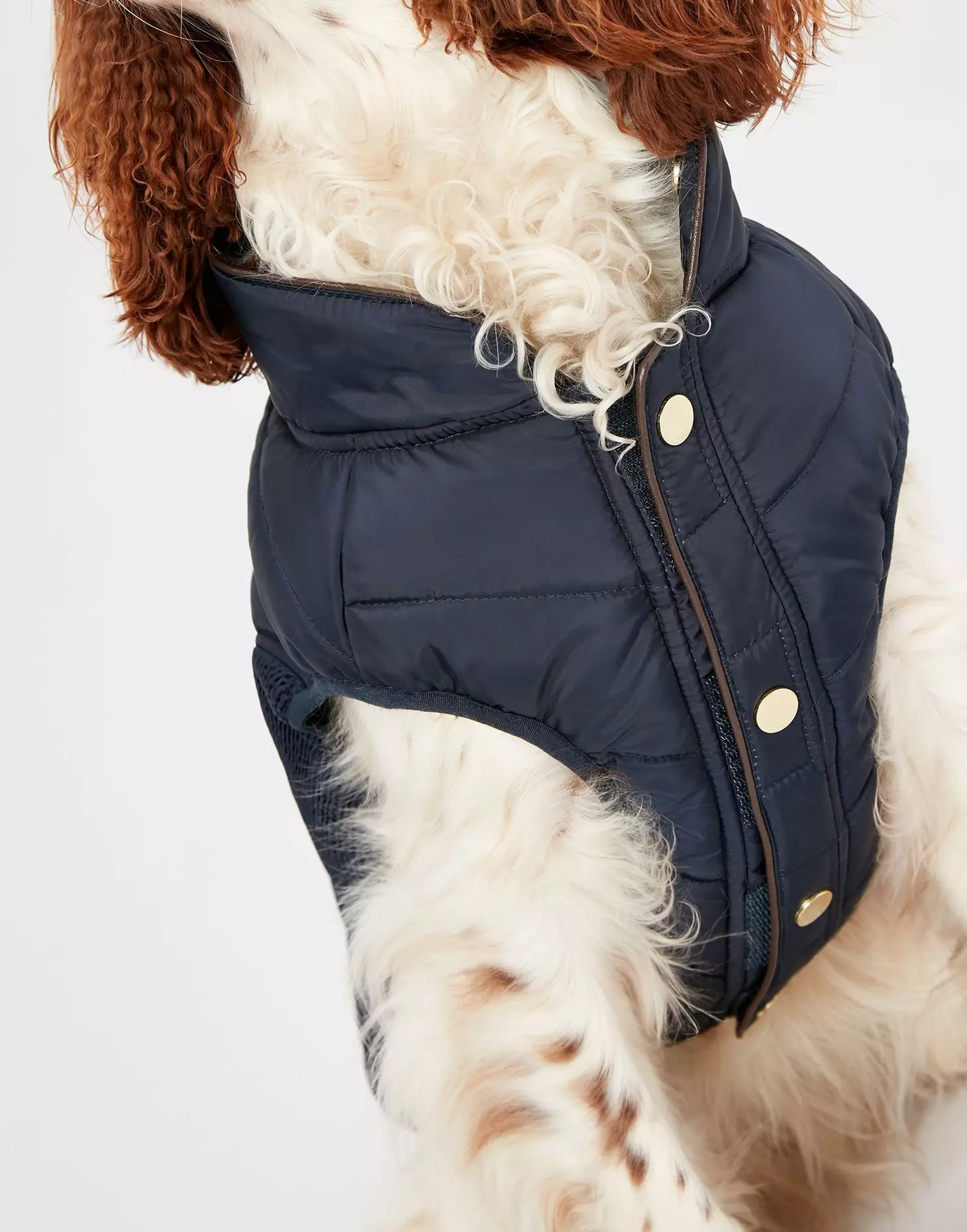 Joules Cherington Dog Coat