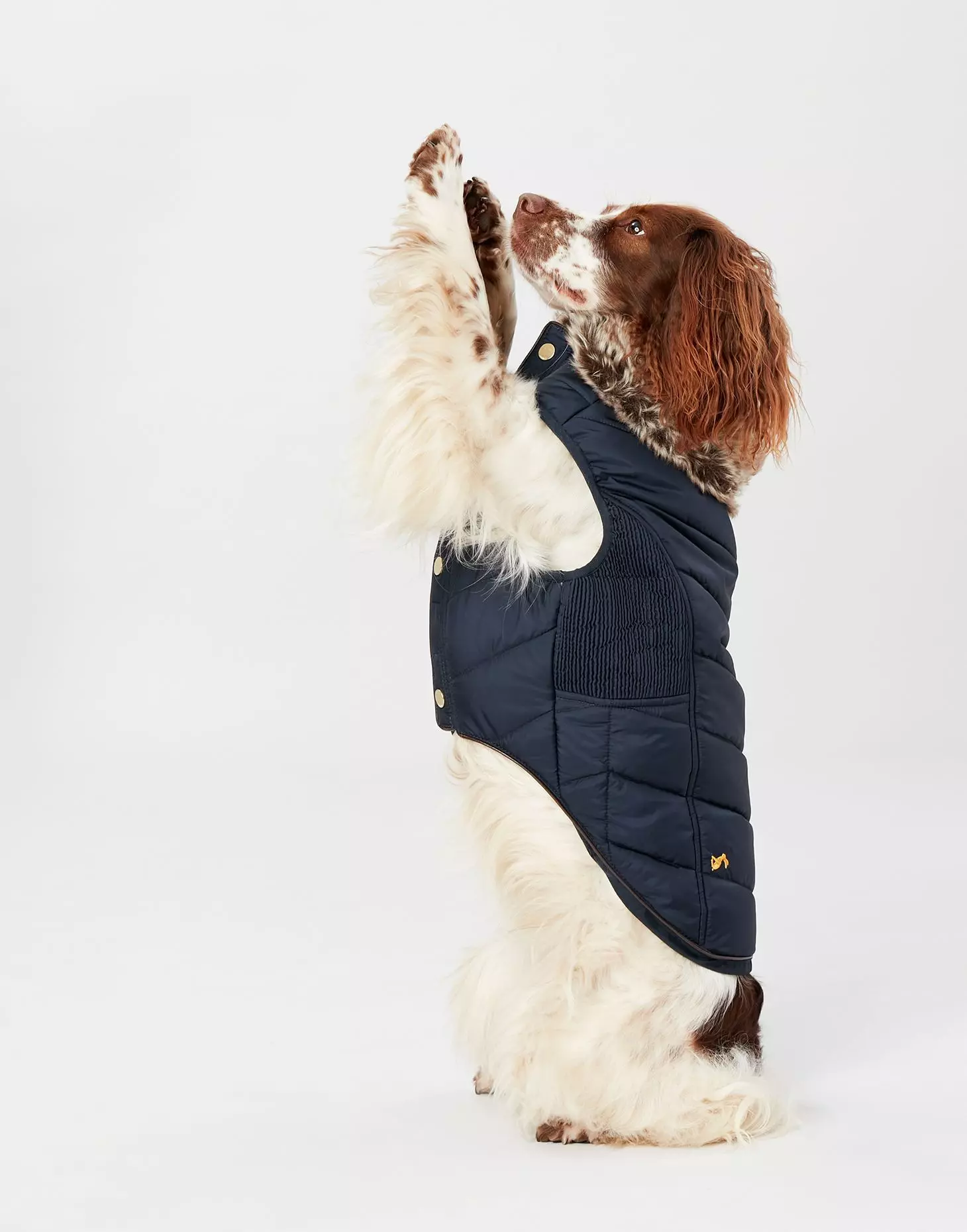 Joules Cherington Dog Coat